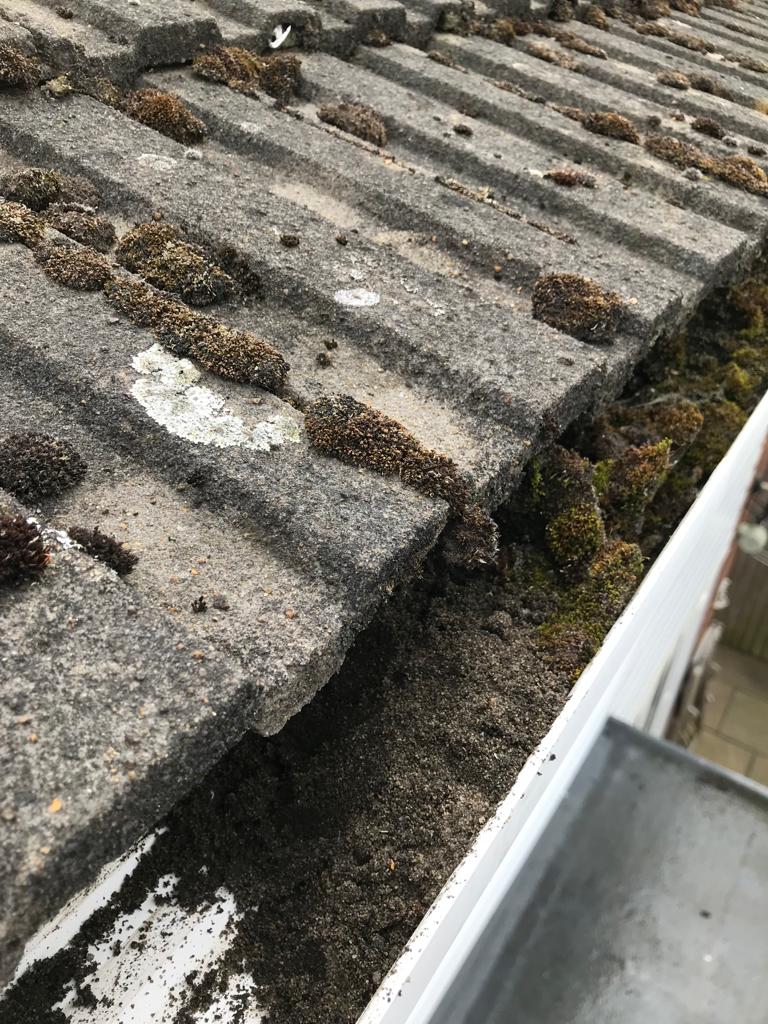 Moss removed from squareline gutters in High Wycombe